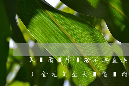 民間借貸中為啥不要直接交付現(xiàn)金，尤其是大額借貸（附最高院、高院依據(jù)）